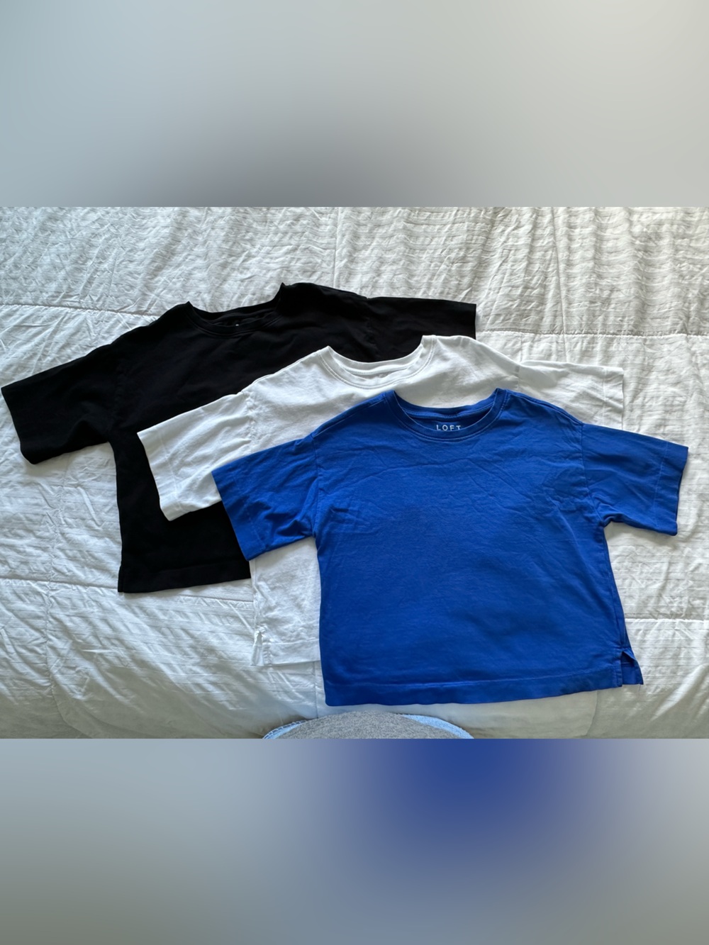 LOFT Women’s Relaxed Crop Tee Bundle - Blue, White, & Black